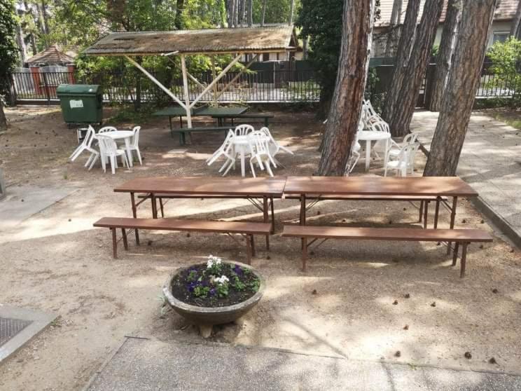 Fenyves Panzio Bed and Breakfast Σίοφοκ Εξωτερικό φωτογραφία